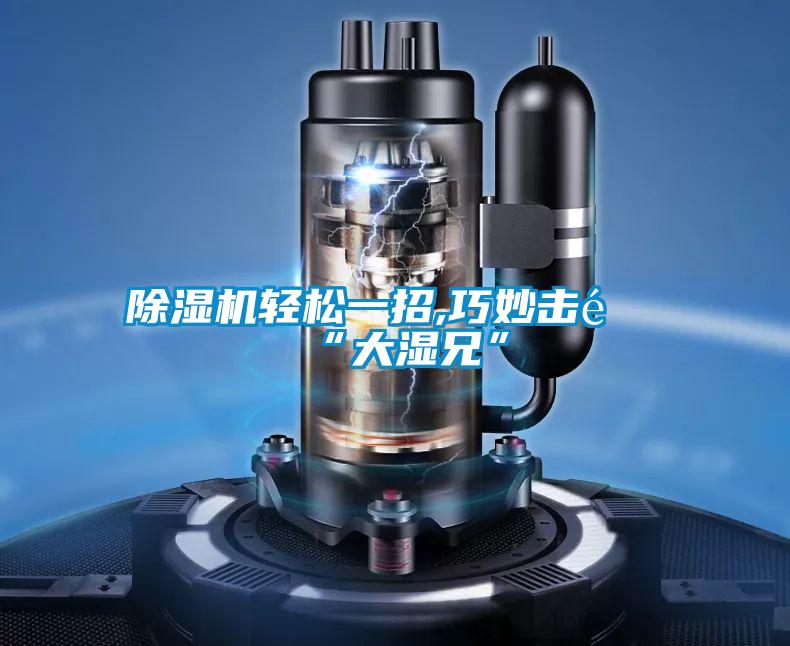 91视频链接下载輕鬆一招,巧妙擊退“大濕兄”