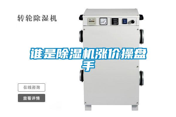 誰是91视频链接下载漲價操盤手