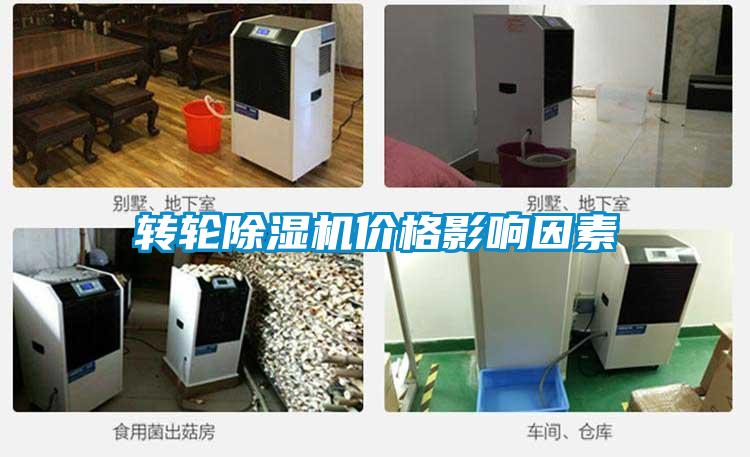 轉輪91视频链接下载價格影響因素