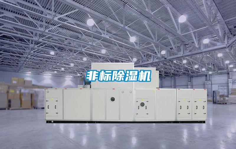 非標91视频链接下载