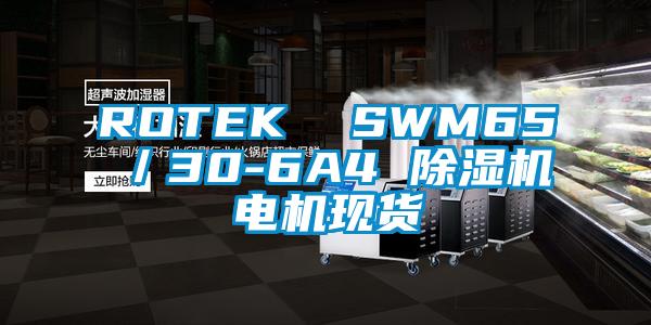ROTEK  SWM65／30-6A4 91视频链接下载電機現貨