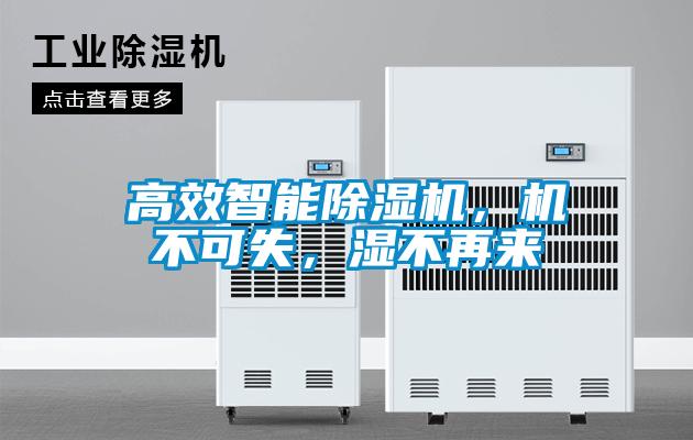 高效智能91视频链接下载，機不可失，濕不再來