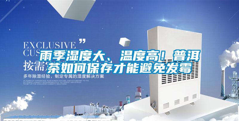 雨季濕度大、溫度高！普洱茶如何保存才能避免發黴