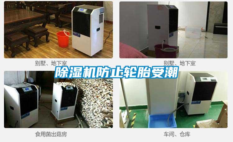 91视频链接下载防止輪胎受潮