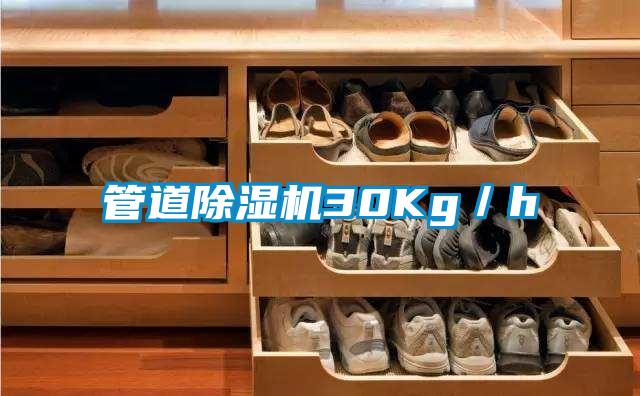 管道91视频链接下载30Kg／h