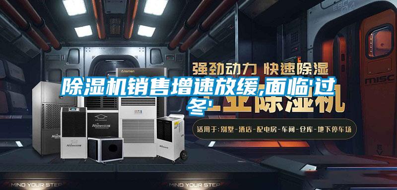 91视频链接下载銷售增速放緩,麵臨'過冬'