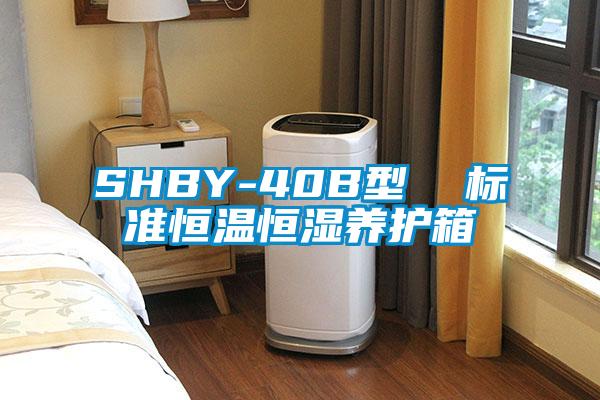 SHBY-40B型 標準恒溫恒濕養護箱