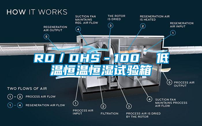 RD/DHS-100 低溫恒溫恒濕試驗箱