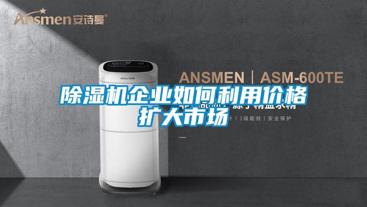 91视频链接下载企業如何利用價格擴大市場