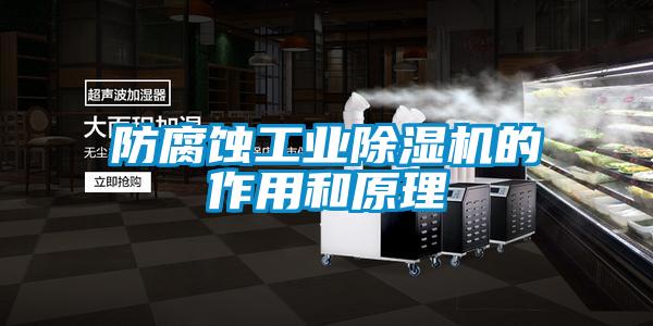 防腐蝕工業91视频链接下载的作用和原理