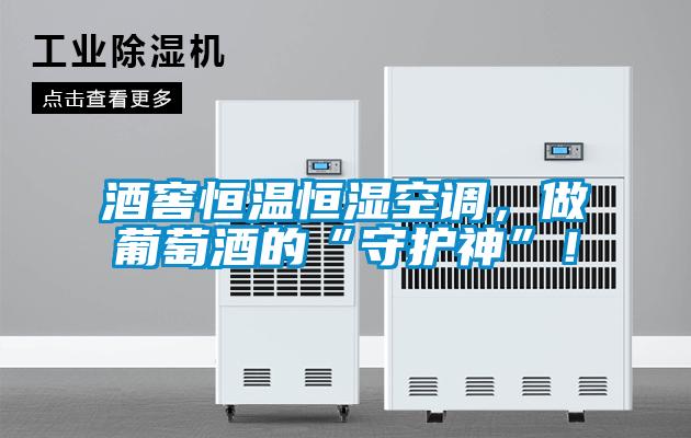 酒窖恒溫恒濕空調，做葡萄酒的“守護神”！