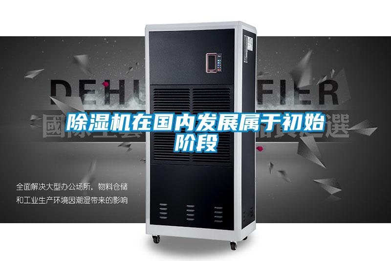 91视频链接下载在國內發展屬於初始階段