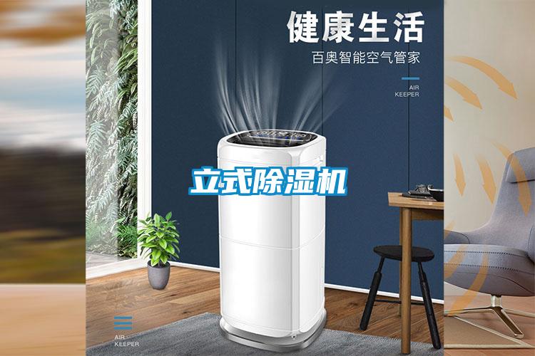 立式91视频链接下载