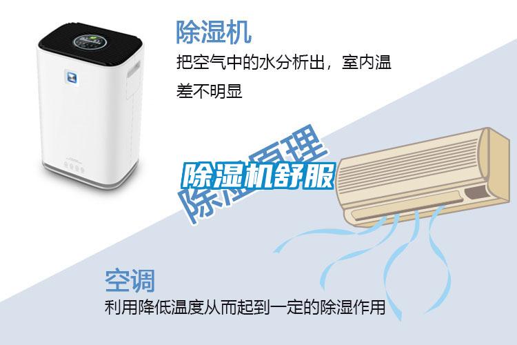 91视频链接下载舒服