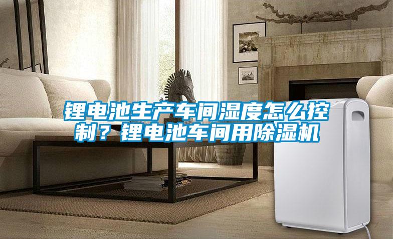 鋰電池生產車間濕度怎麽控製？鋰電池車間用91视频链接下载