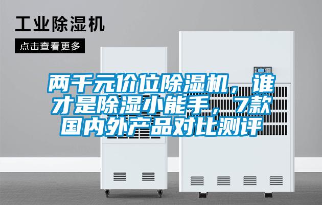 兩千元價位91视频链接下载，誰才是除濕小能手，7款國內外產品對比測評