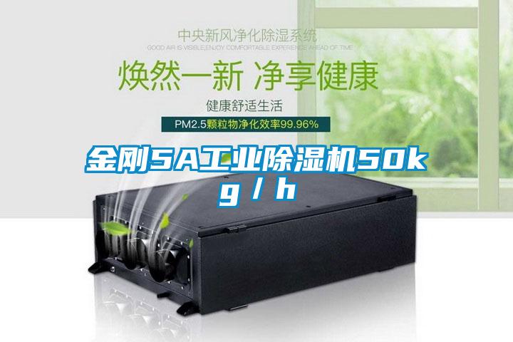 金剛5A工業91视频链接下载50kg/h