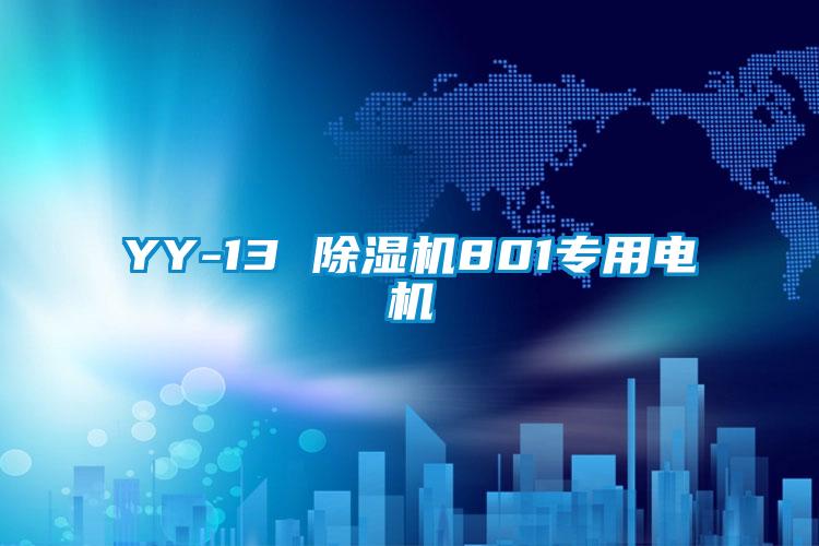 YY-13 91视频链接下载801專用電機