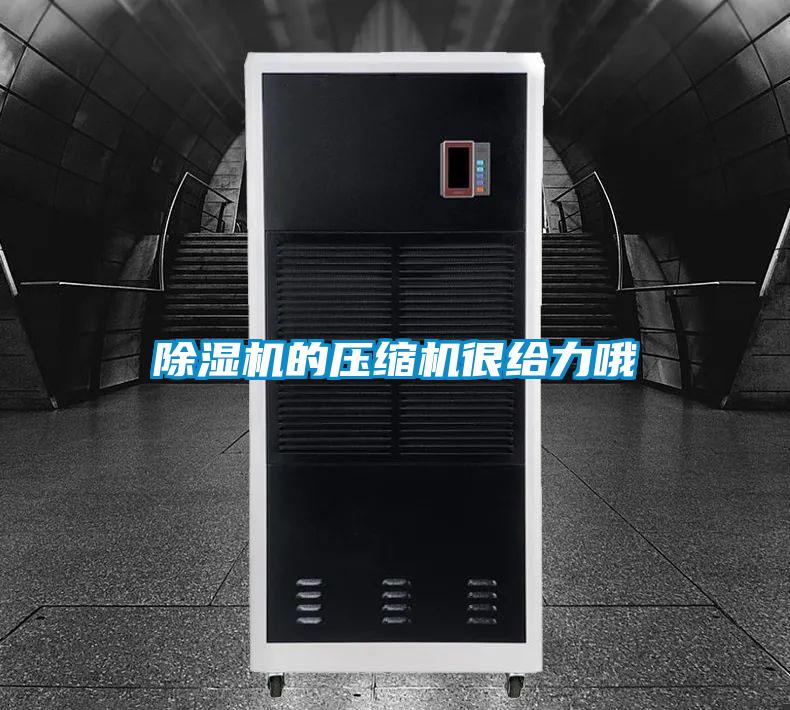 91视频链接下载的壓縮機很給力哦