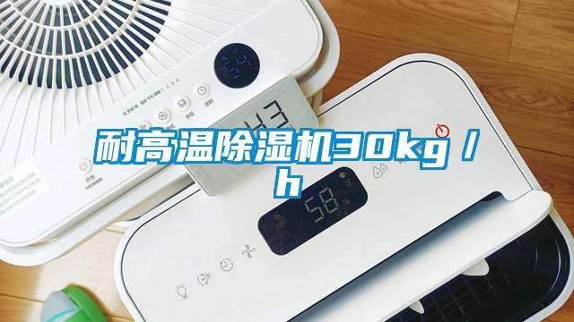 耐高溫91视频链接下载30kg／h
