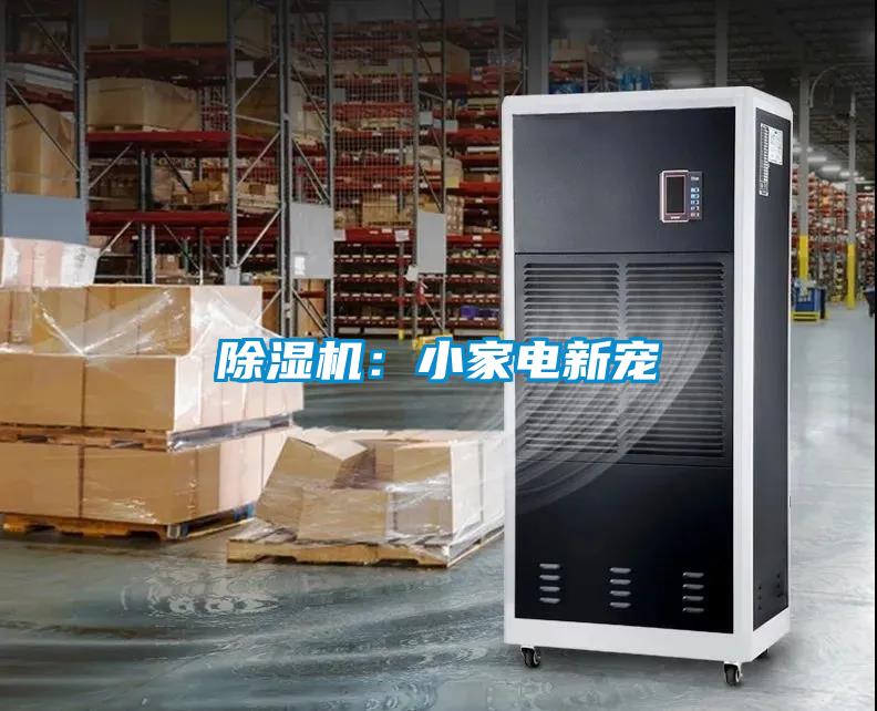 91视频链接下载：小家電新寵