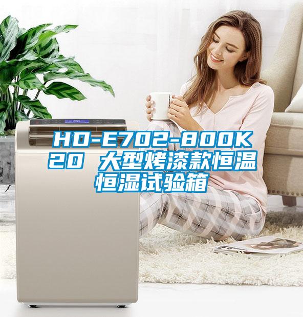 HD-E702-800K20 大型烤漆款恒溫恒濕試驗箱