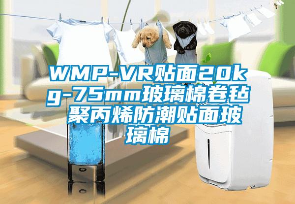 WMP-VR貼麵20kg-75mm玻璃棉卷氈 聚丙烯防潮貼麵玻璃棉