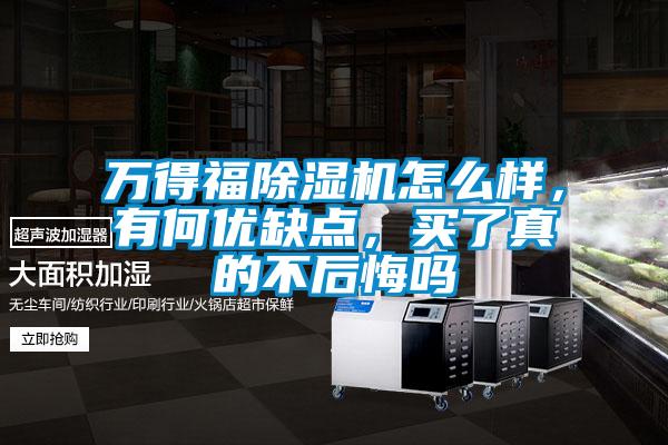 萬得福91视频链接下载怎麽樣，有何優缺點，買了真的不後悔嗎