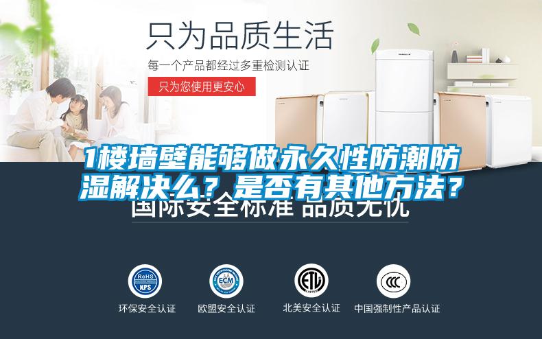 1樓牆壁能夠做永久性防潮防濕解決麽？是否有其他方法？