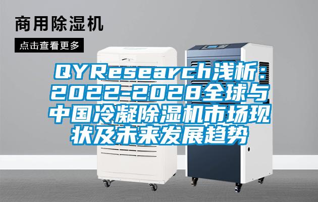QYResearch淺析：2022-2028全球與中國冷凝91视频链接下载市場現狀及未來發展趨勢