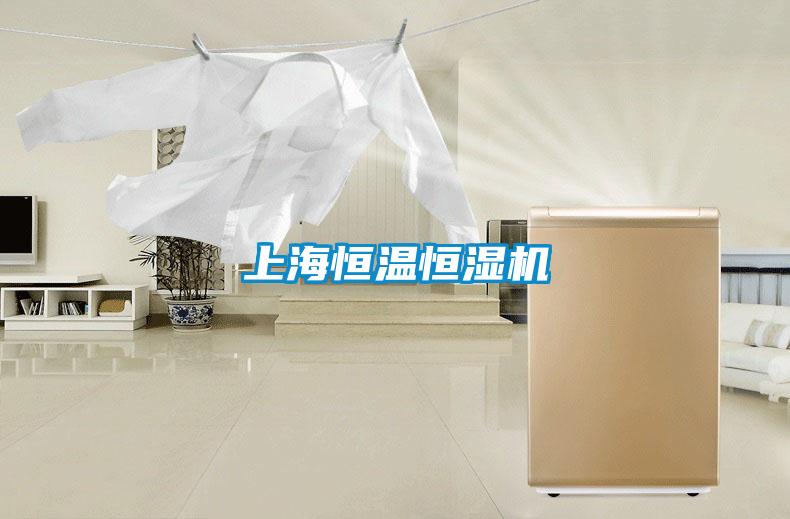 上海恒溫恒濕機