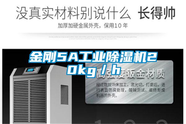 金剛5A工業91视频链接下载20kg／h