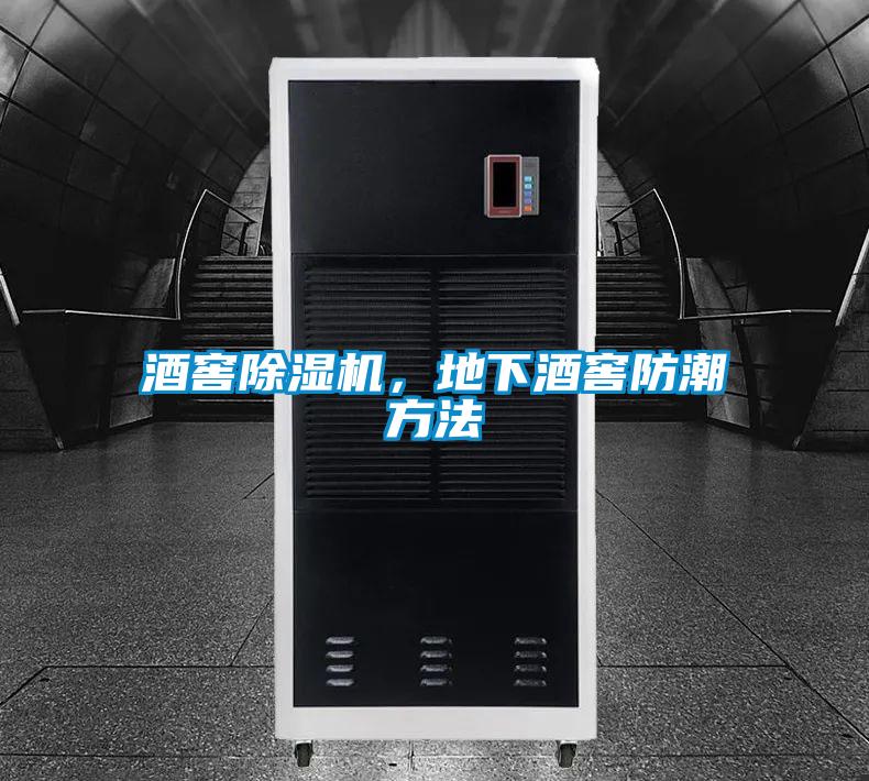 酒窖91视频链接下载，地下酒窖防潮方法