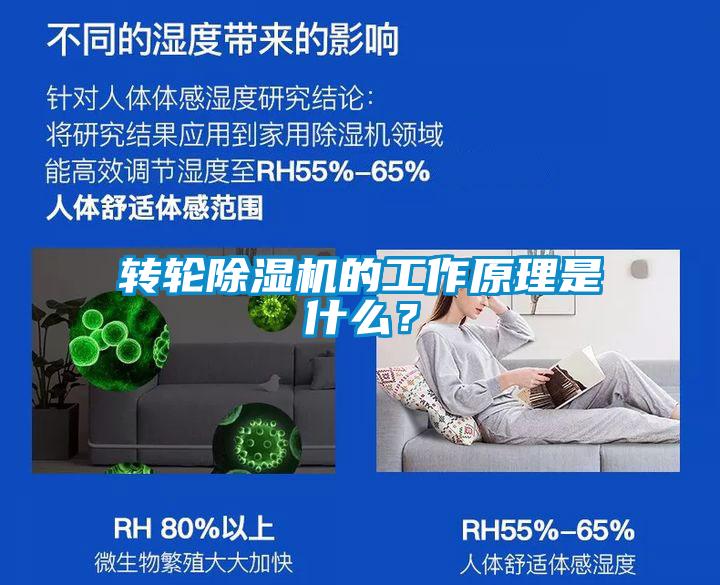 轉輪91视频链接下载的工作原理是什麽？