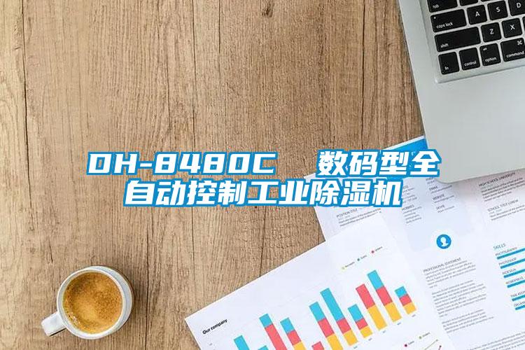 DH-8480C 數碼型全自動控製工業91视频链接下载