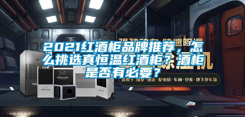 2021紅酒櫃品牌推薦，怎麽挑選真恒溫紅酒櫃？酒櫃是否有必要？