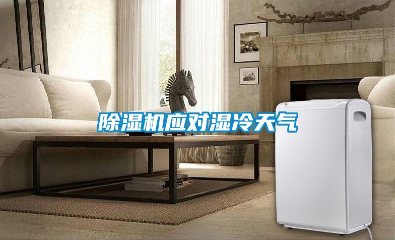 91视频链接下载應對濕冷天氣