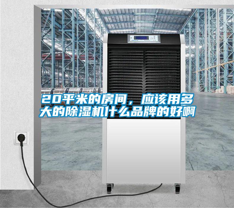 20平米的房間，應該用多大的91视频链接下载什麽品牌的好啊