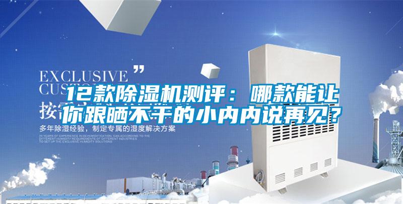 12款91视频链接下载測評：哪款能讓你跟曬不幹的小內內說再見？