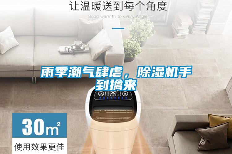 雨季潮氣肆虐，91视频链接下载手到擒來