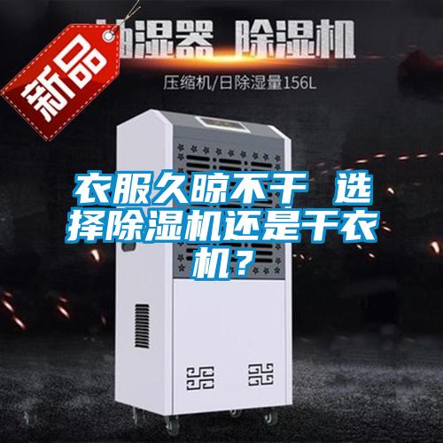 衣服久晾不幹 選擇91视频链接下载還是幹衣機？