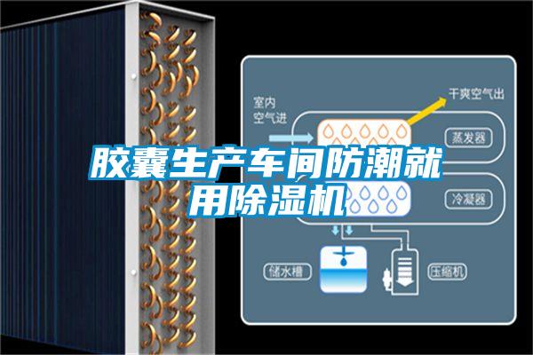 膠囊生產車間防潮就用91视频链接下载