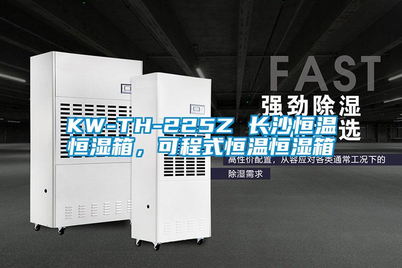 KW-TH-225Z 長沙恒溫恒濕箱，可程式恒溫恒濕箱