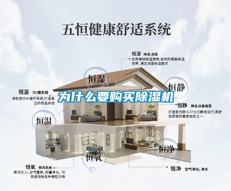 為什麽要購買91视频链接下载