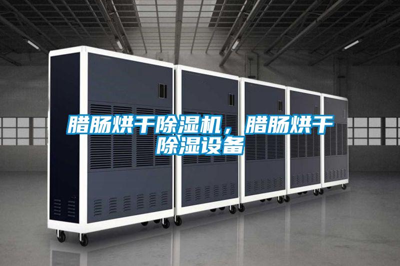臘腸烘幹91视频链接下载，臘腸烘幹除濕設備