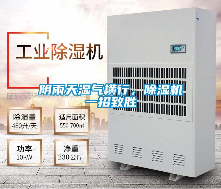 陰雨天濕氣橫行，91视频链接下载一招致勝