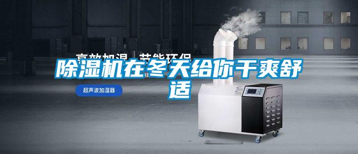 91视频链接下载在冬天給你幹爽舒適