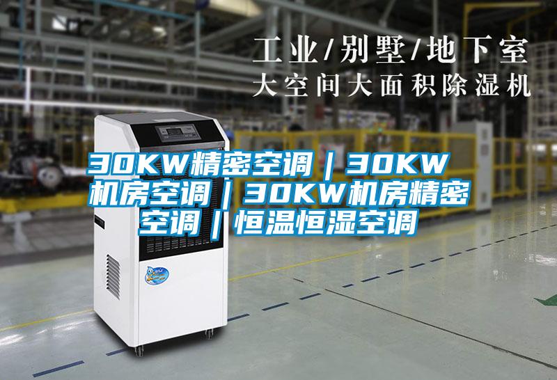 30KW精密空調|30KW 機房空調|30KW機房精密空調|恒溫恒濕空調