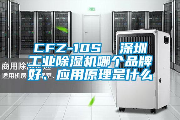 CFZ-10S  深圳工業91视频链接下载哪個品牌好、應用原理是什麽