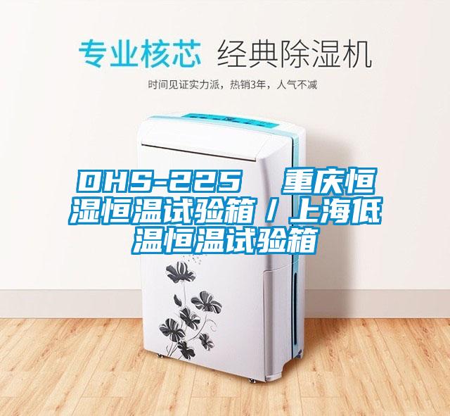 DHS-225 重慶恒濕恒溫試驗箱/上海低溫恒溫試驗箱